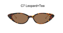 Load image into Gallery viewer, Small Cat Eye Sunglasses