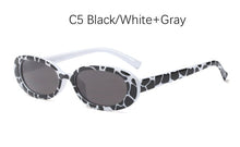 Load image into Gallery viewer, Small Oval Sunglasses
